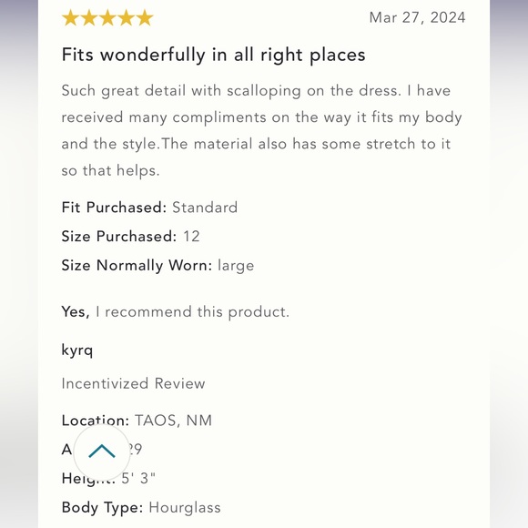 Anthropologie NWT MAEVE MOCK-NECK SHIFT MINI DRESS size 16P. - Picture 16 of 16